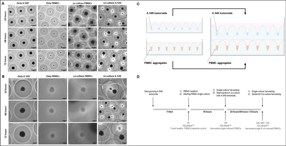 Journal of Cancer Genetics and Biomarkers - Cancer biomarker