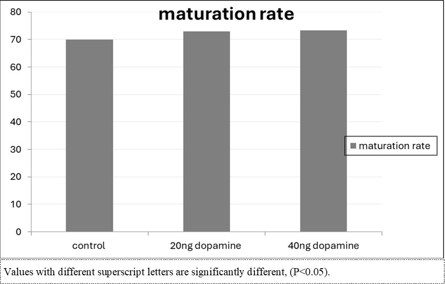Figure 1. Effect of in vitro maturation media supplementation with dopamine on the maturation rate.