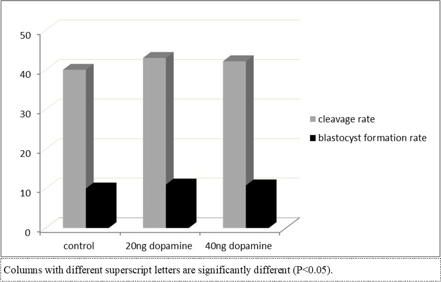 Figure 3. Effect of in vitro maturation media supplementation with dopamine on the cleavage and blastocyst formation rates.